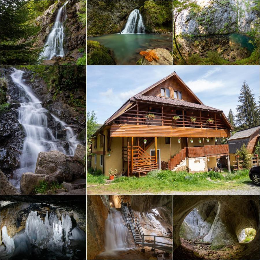 Pensiunea Viorica Арьешени Экстерьер фото
