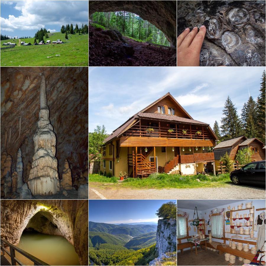 Pensiunea Viorica Арьешени Экстерьер фото