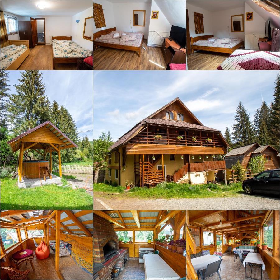 Pensiunea Viorica Арьешени Экстерьер фото