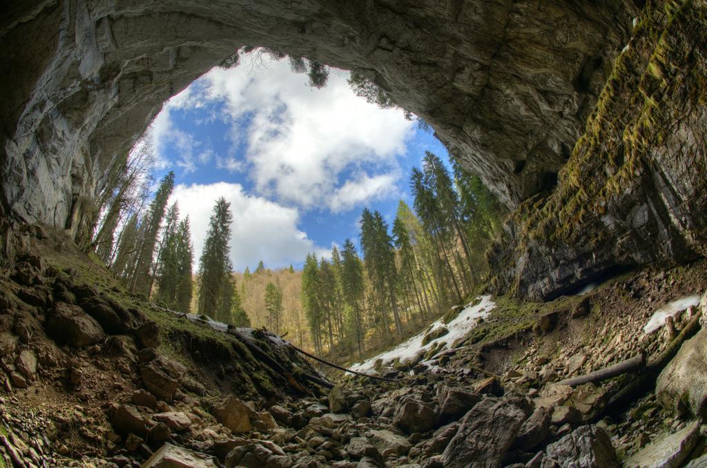 Pensiunea Viorica Арьешени Экстерьер фото