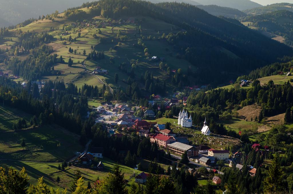 Pensiunea Viorica Арьешени Экстерьер фото